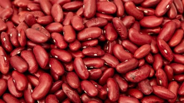 Rajma (Kidney Beans)